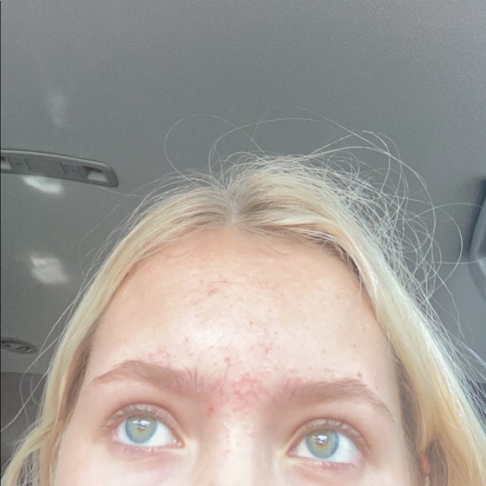 Meet your Posher, Bailey